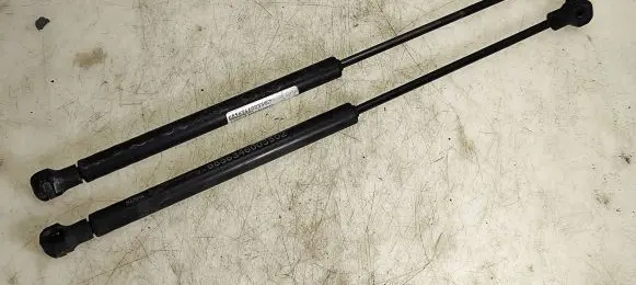 Nissan Murano Z50 Rear window strut damper 6856346003502