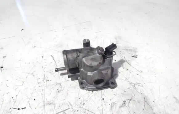 Thermostat/thermostat housing
