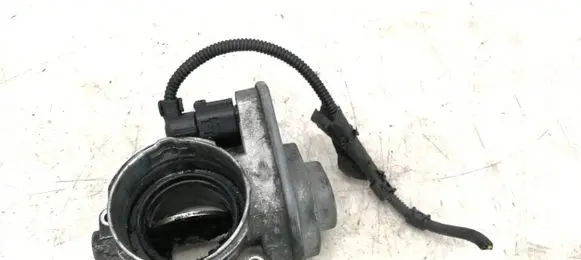 Seat Toledo III (5P) Throttle valve 038128063G