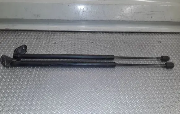 Toyota Corolla Verso AR10 Tailgate/trunk strut/damper 689500F011