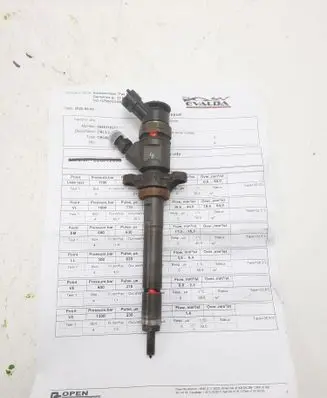 Peugeot Partner Fuel injector 0445110311