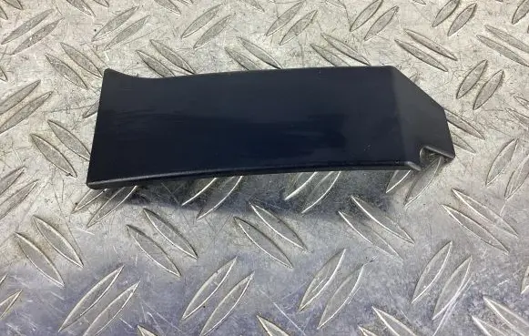 Rear/tail light trim molding