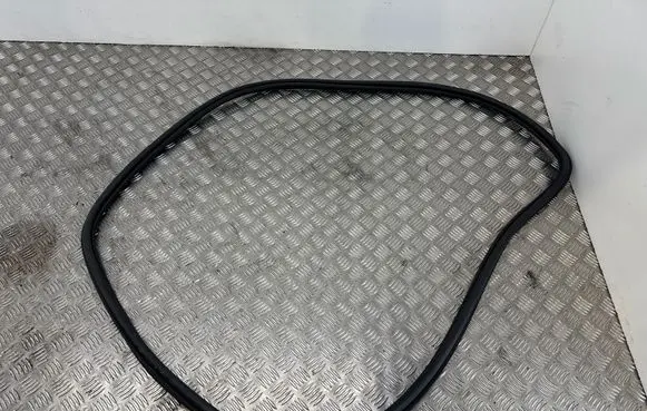 Seat Arona Front door rubber seal 