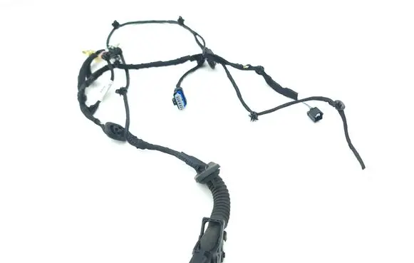Rear door wiring loom