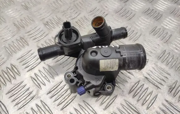 Thermostat/thermostat housing