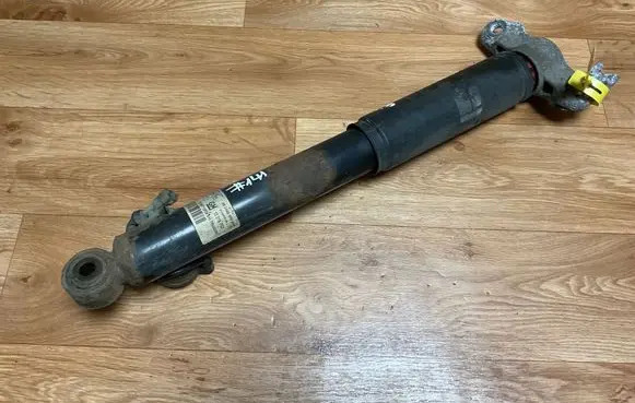 Opel Insignia A Rear shock absorber/damper 13319753 4424000054 314801718