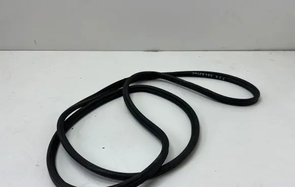 BMW 5 GT F07 Rubber seal tailgate window/glass 7200542