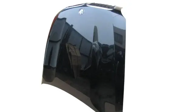 BMW X5 E70 Engine bonnet/hood 6917364