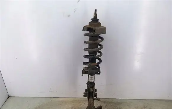 Opel Vivaro Front shock absorber with coil spring 