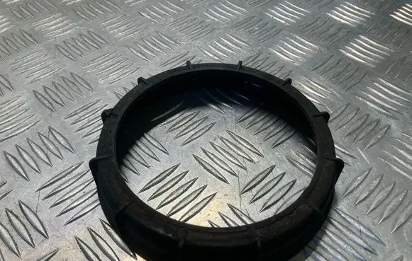 Nissan Juke I F15 In tank fuel pump screw locking ring/nut 09701687000