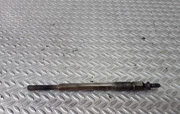 Peugeot 307 Glow plug 0100276004