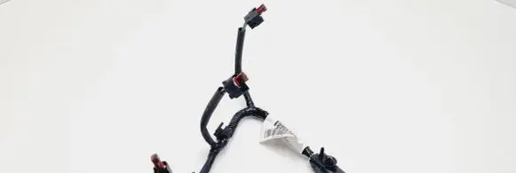 Ford Ecosport Fuel injector wires CM5G9F666BD