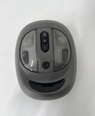 Chrysler PT Cruiser Front seat light Otb77trma