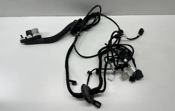 Ford Explorer VI Front door wiring loom M1MT14631BAB M1MT14631 5M17FNZG00392