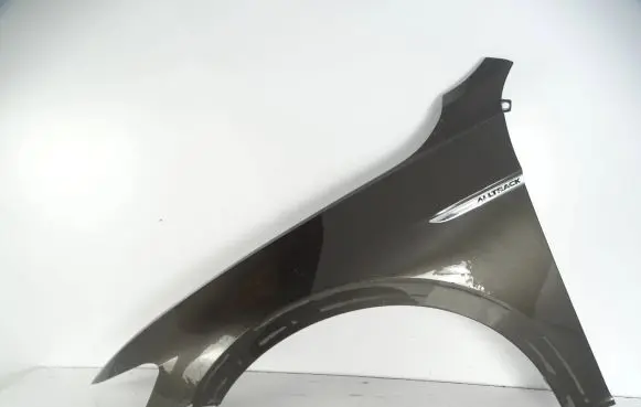 Volkswagen Passat Alltrack Fender