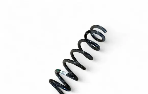 Rear coil spring