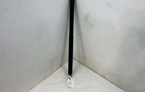 Tailgate/trunk strut/damper
