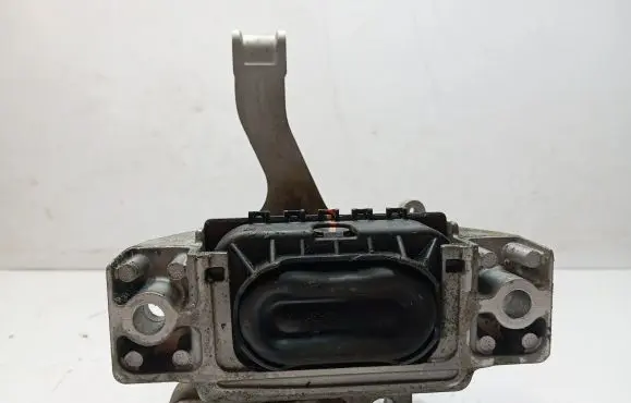 Volkswagen Tiguan Allspace Engine mount bracket G3109420