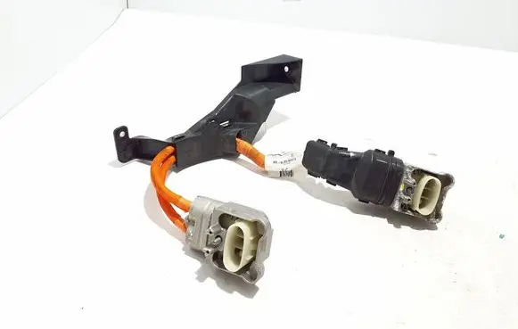 Ford Mach-E I Other wiring loom LJ9814B322BC