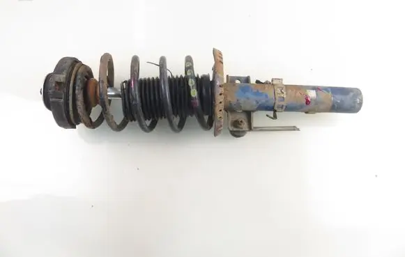 Skoda Roomster (5J) Front shock absorber with coil spring