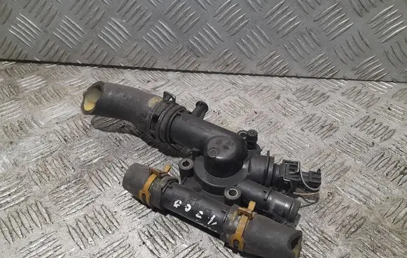 Thermostat/thermostat housing