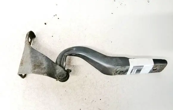 Engine bonnet/hood hinges