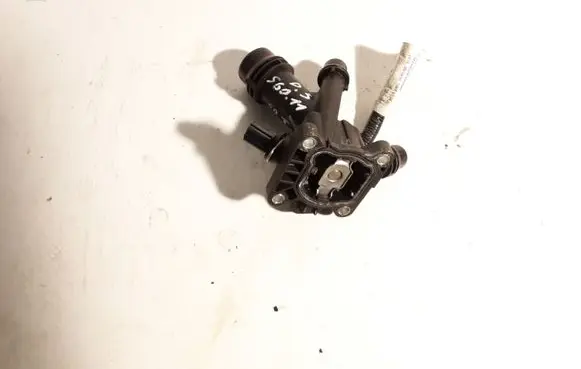 Thermostat/thermostat housing