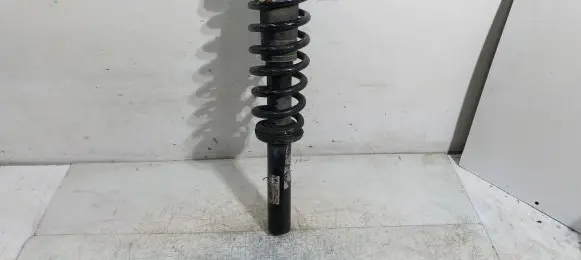 BMW X6 E71 Front shock absorber/damper 6783016