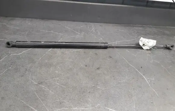 Peugeot 106 Tailgate strut 9619704180