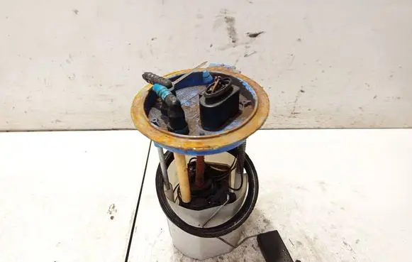 Volkswagen Eos In-tank fuel pump 1k0919051