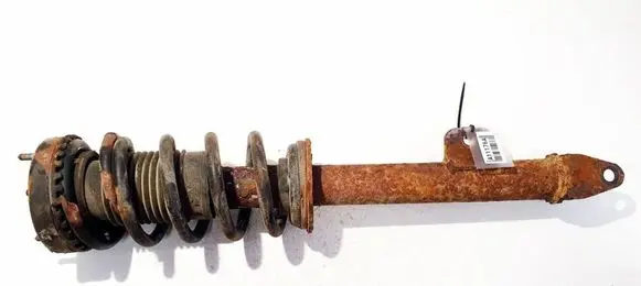 Dodge Magnum Front shock absorber/damper 