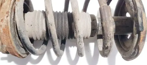 Front coil spring