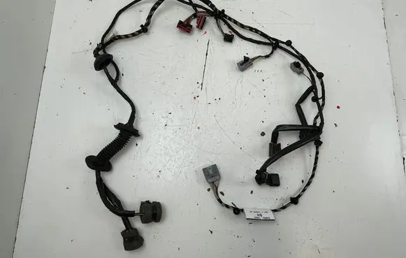 Front door wiring loom