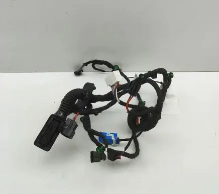 Ford Explorer EV Rear door wiring loom 11N971693AB