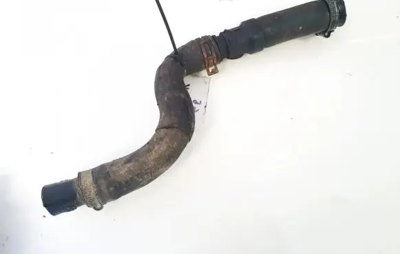 Renault Scenic I Engine coolant pipe/hose