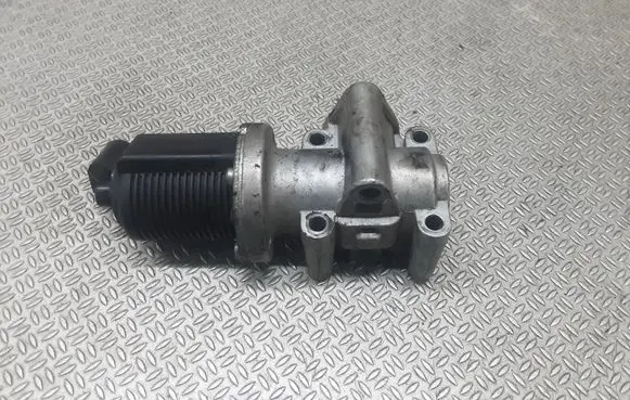 Opel Vectra C EGR valve