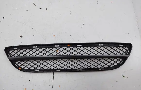 BMW 3 E90 E91 Front bumper lower grill 7134074