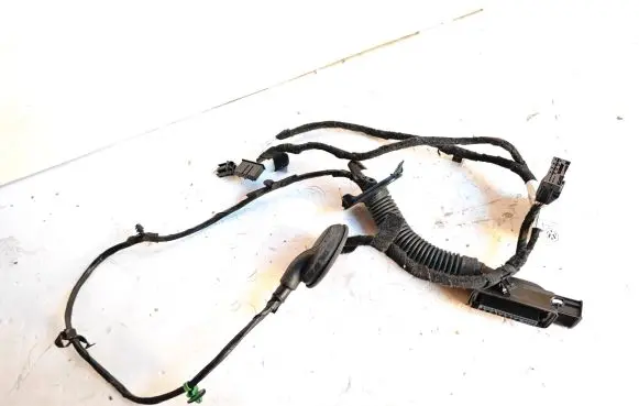 Cupra Born Front door wiring loom 25012022 2150571758 TAB051062D