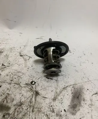 Thermostat/thermostat housing