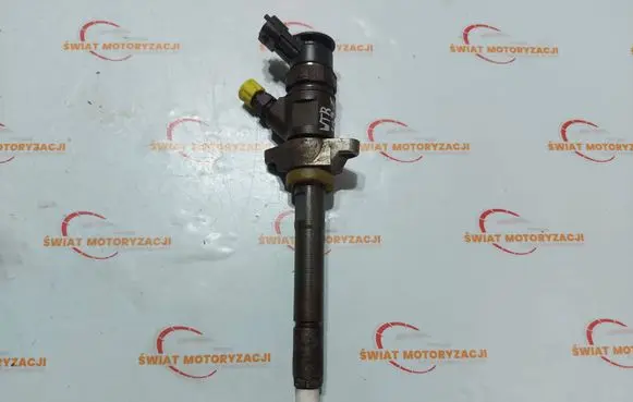 Citroen C4 I Picasso Fuel injector 0445110311