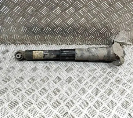 Audi Q4 Sportback e-tron Rear shock absorber/damper 1EA512013BD