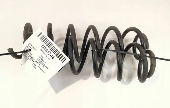 Rear coil spring