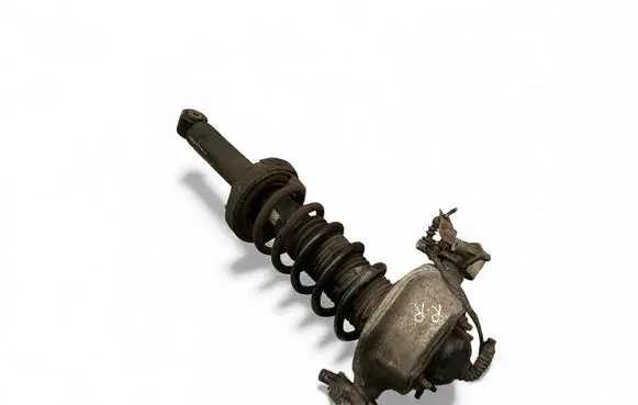 Porsche Cayenne (92A) Rear shock absorber with coil spring 7P5513029K