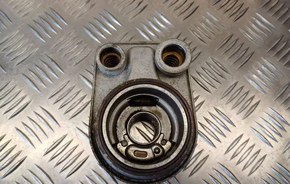 Renault Kangoo II Engine oil radiator 8200923115
