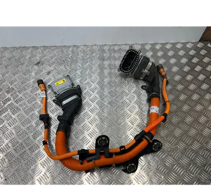Other wiring loom