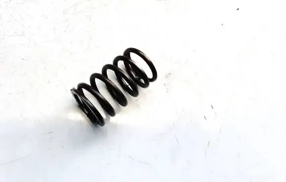 Volkswagen PASSAT B6 Valve spring 