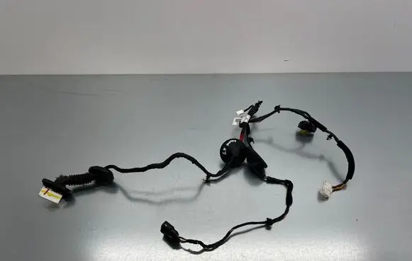 Hyundai Santa Fe Rear door wiring loom 916502W031