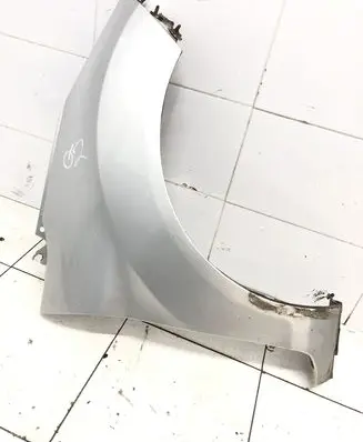 Ford Fiesta Fender