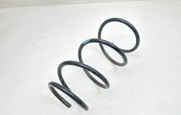 Front coil spring