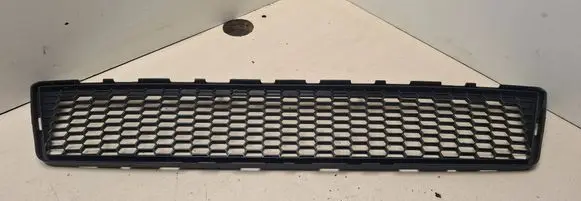 Front bumper lower grill